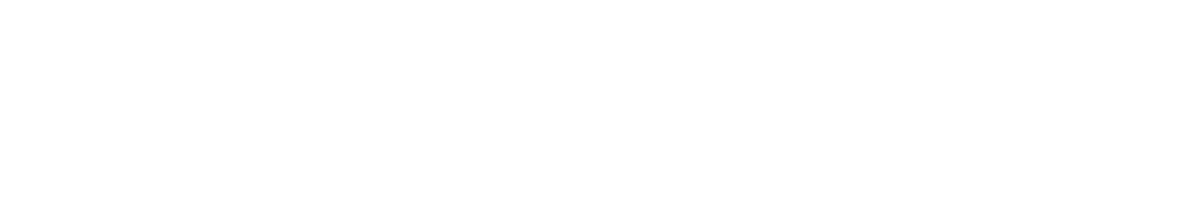 BICHOTE®